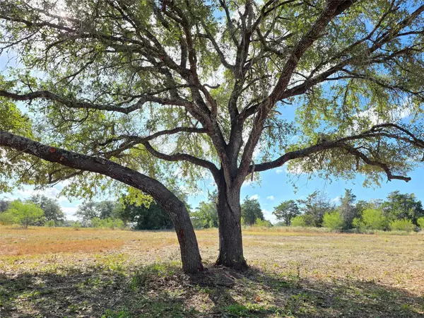 Flatonia, TX 78941,1109 E Old Hallettsville RD