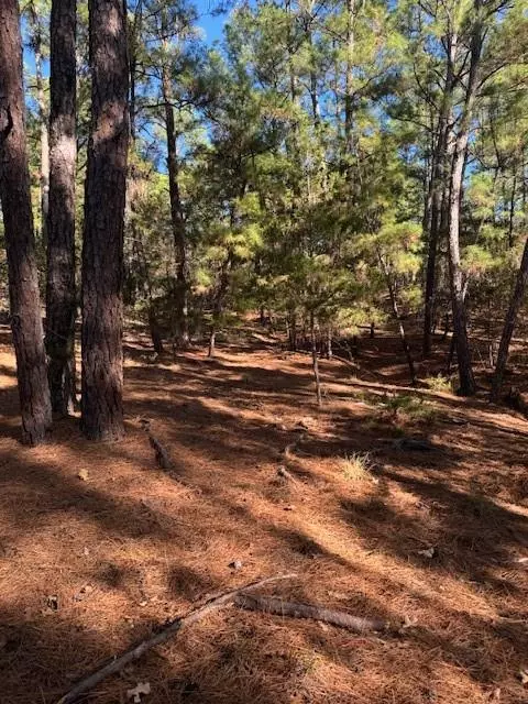 Lot 1395 Kaupa CT, Bastrop, TX 78602