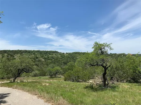 Dripping Springs, TX 78620,699 Hillview CIR