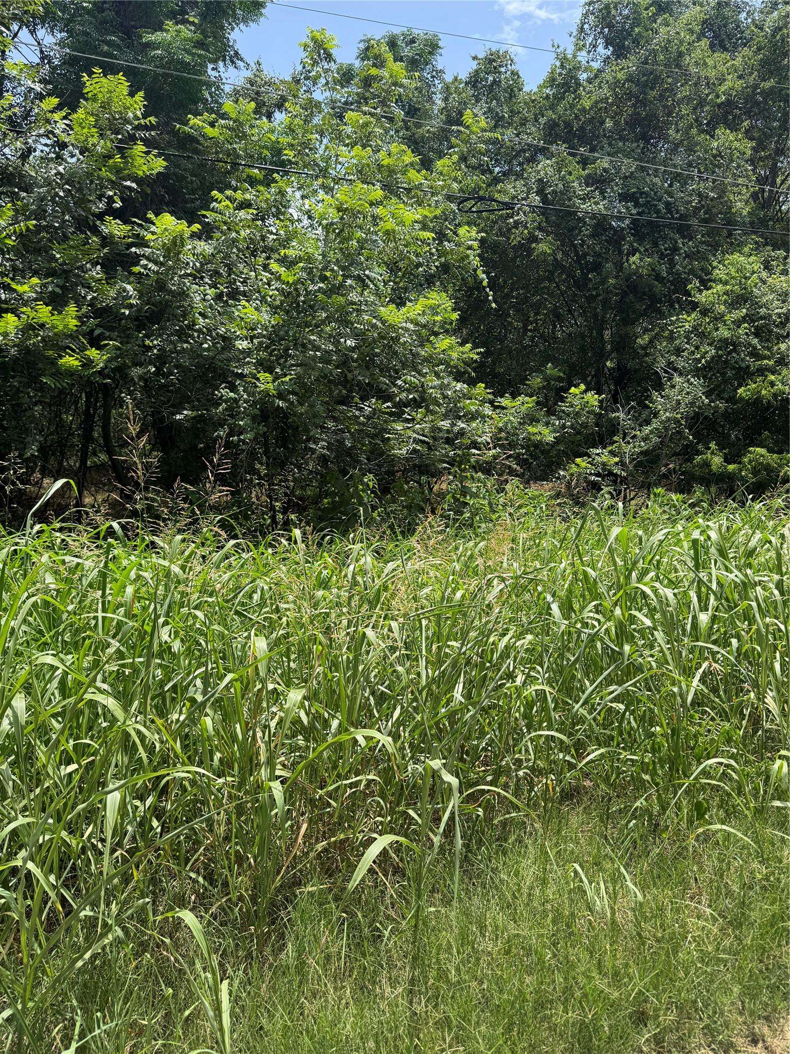 Bastrop, TX 78602,Lot 908 Kahana LN