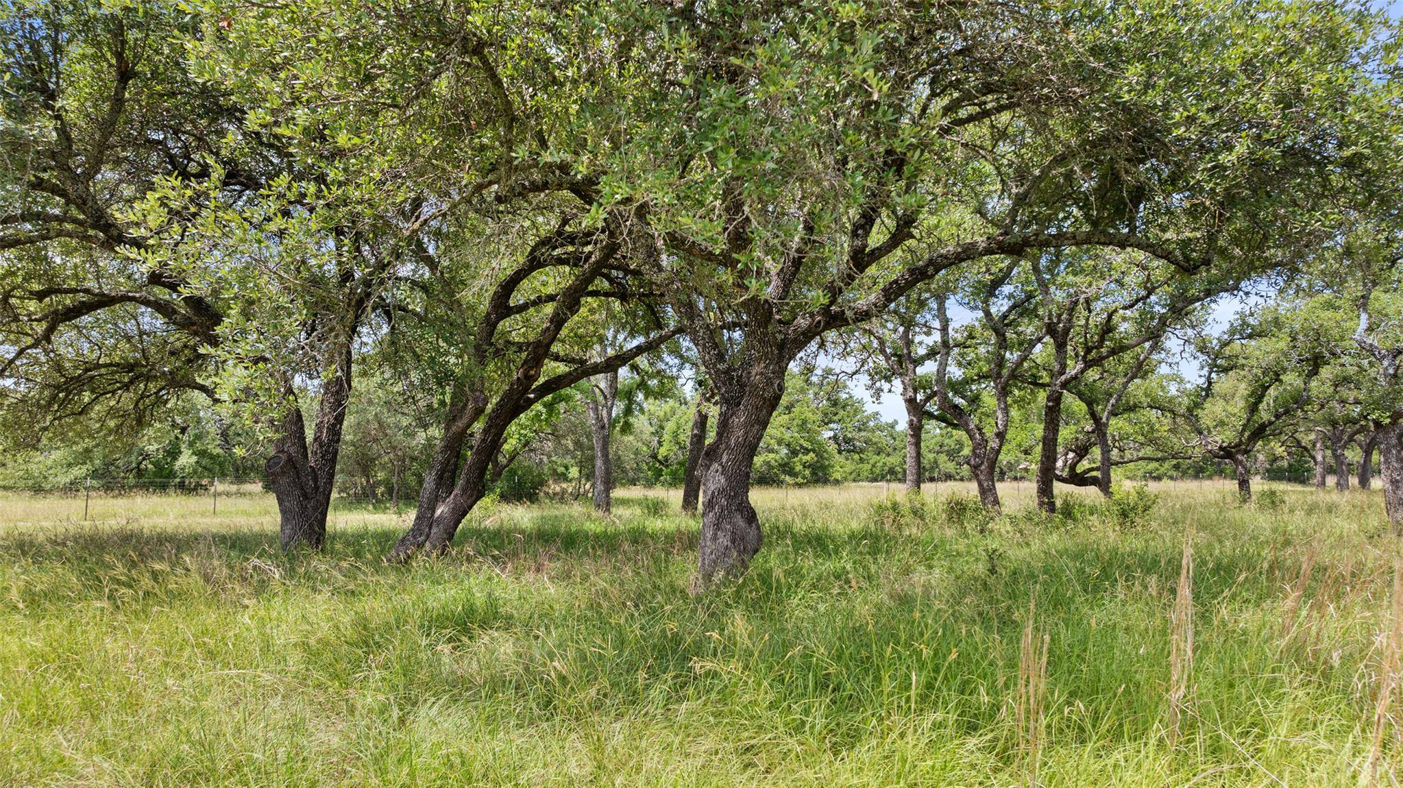 Johnson City, TX 78636,997 Sandy Oaks Ranch Rd