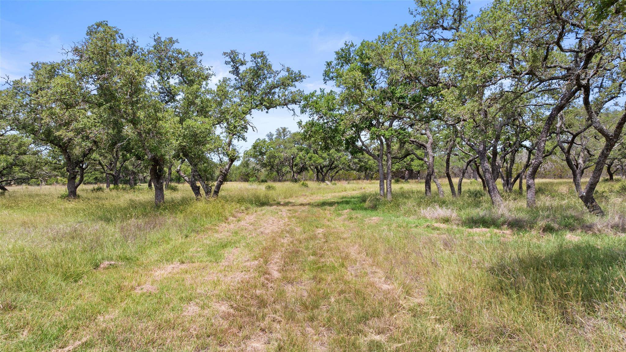 Johnson City, TX 78636,997 Sandy Oaks Ranch Rd