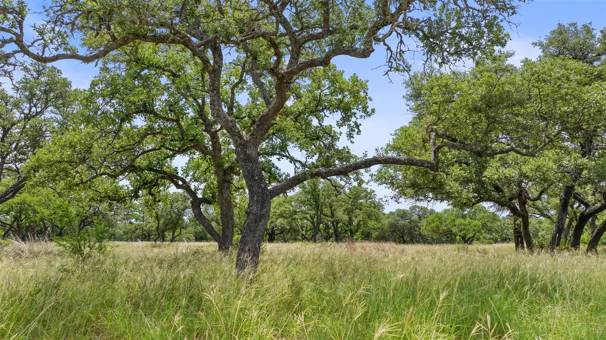 Johnson City, TX 78636,997 Sandy Oaks Ranch Rd
