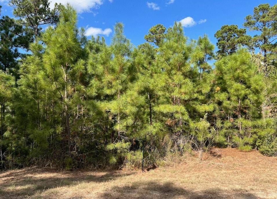 Lot 986 Kailua L LN, Bastrop, TX 78602