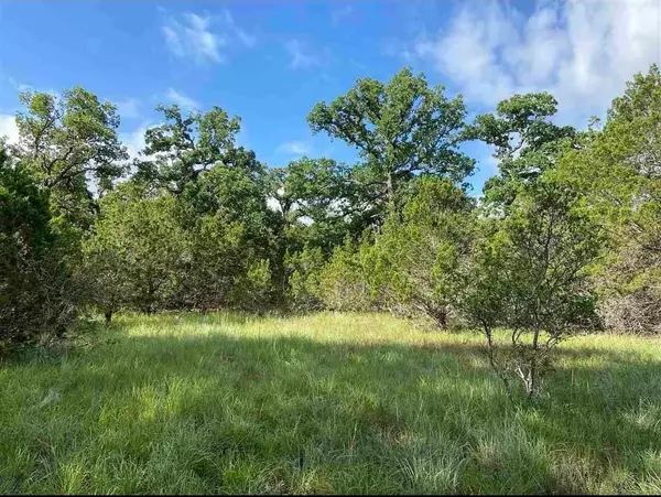 Horseshoe Bay, TX 78657,K10041 Bald Eagle