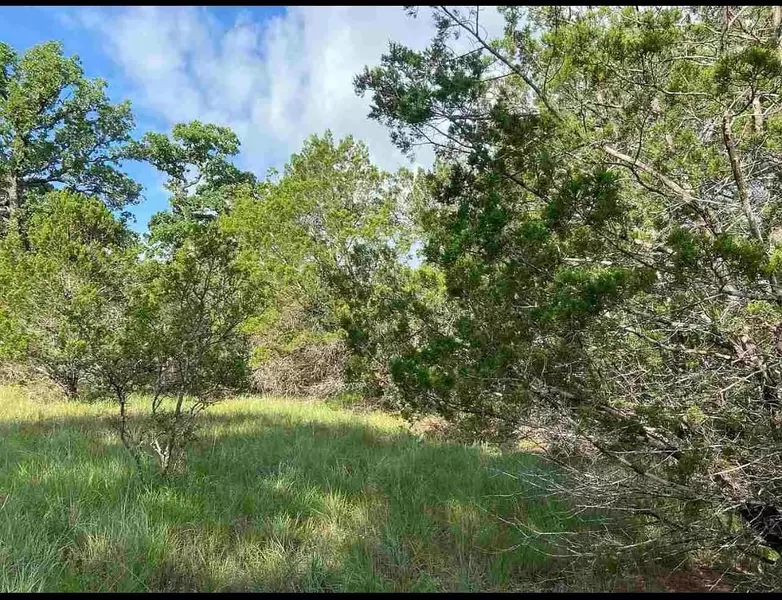 K10041 Bald Eagle, Horseshoe Bay, TX 78657