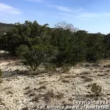 Spring Branch, TX 78070,0 Fawn River DR