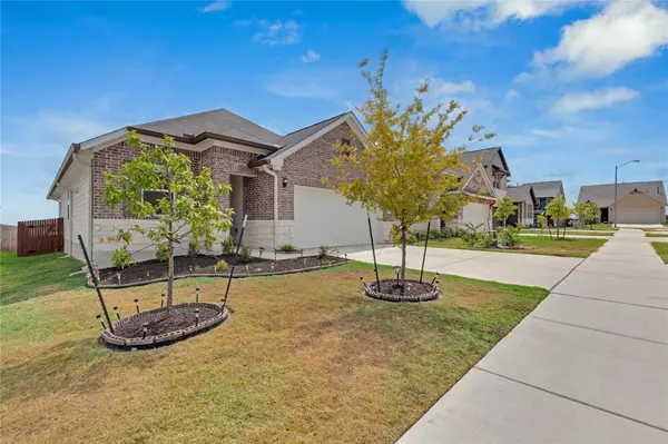Hutto, TX 78634,106 Pinyon Pine PASS