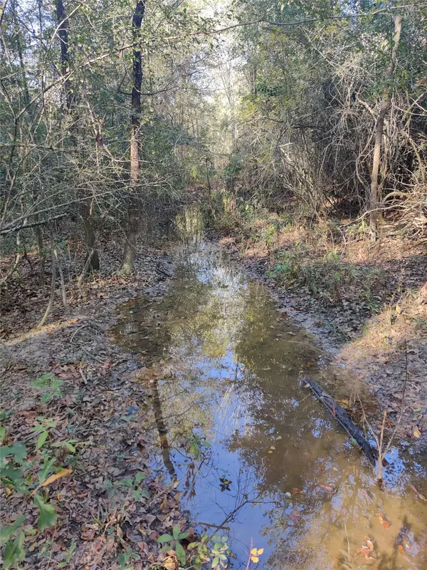 Milano, TX 76558,555 Private Road 3428