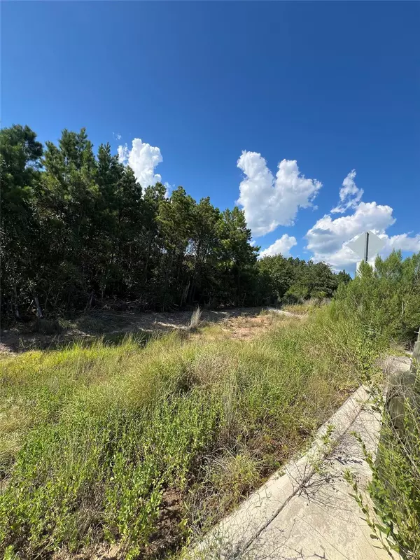 Bastrop, TX 78602,TBD Poi CT