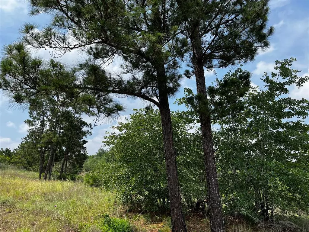 Bastrop, TX 78602,LOT 46 Kamakoa LN