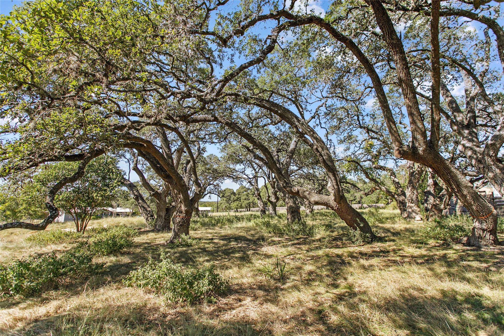1316 Greenlawn PKWY, Blanco, TX 78606
