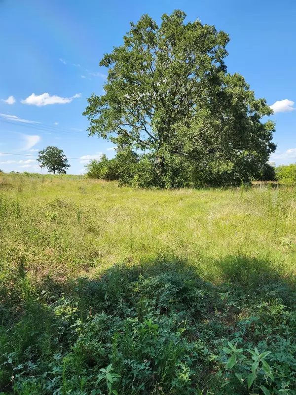 Bastrop, TX 78602,Lot-2 Fm 2336