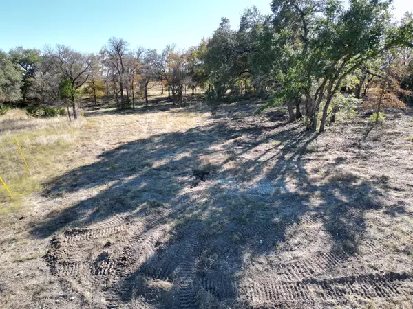 Liberty Hill, TX 78642,205 Serenity DR