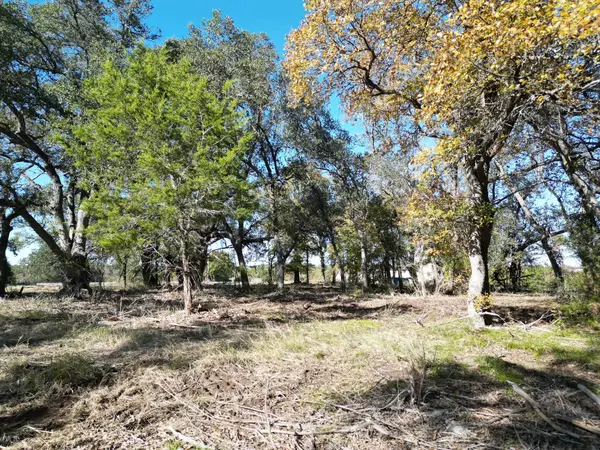 Liberty Hill, TX 78642,205 Serenity DR