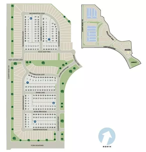 Hutto, TX 78634,144 Zinnia LN