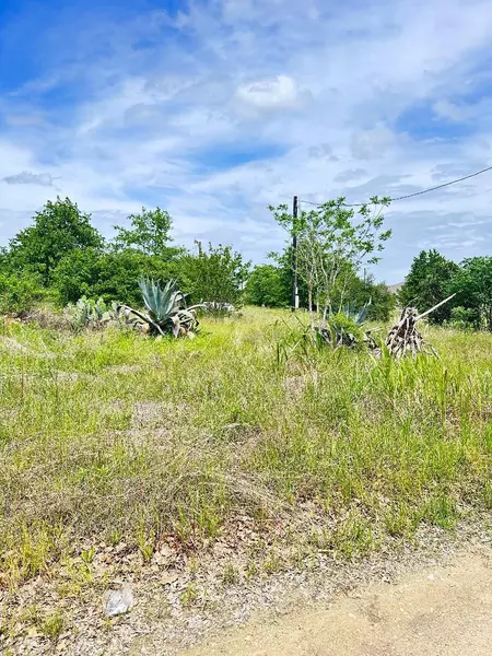 126 Wild Bird LOOP, Smithville, TX 78957