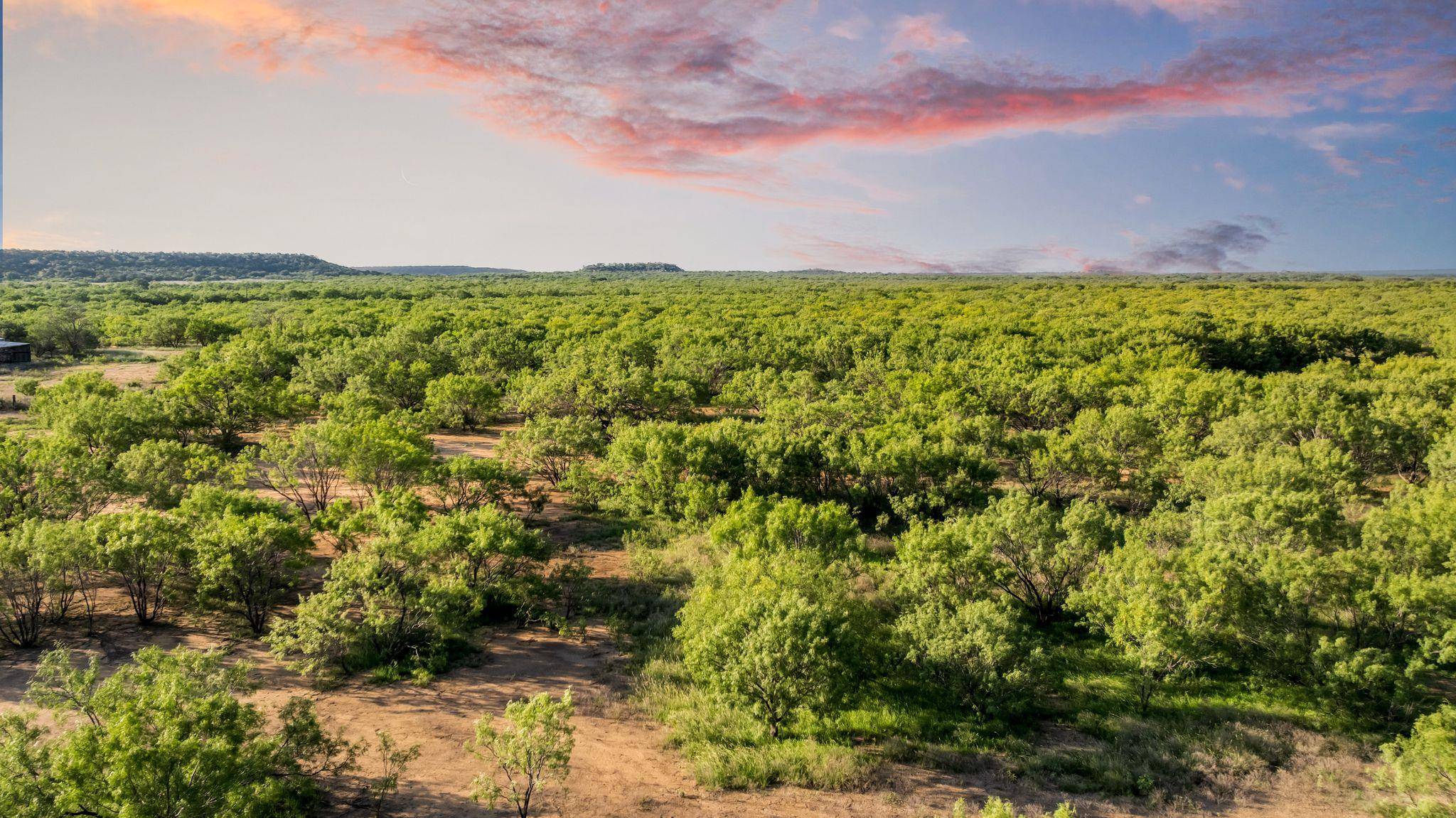 2186 Fm 1028, Rochelle, TX 76872