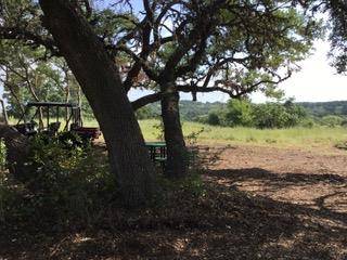 Johnson City, TX 78636,207 Verbena CT