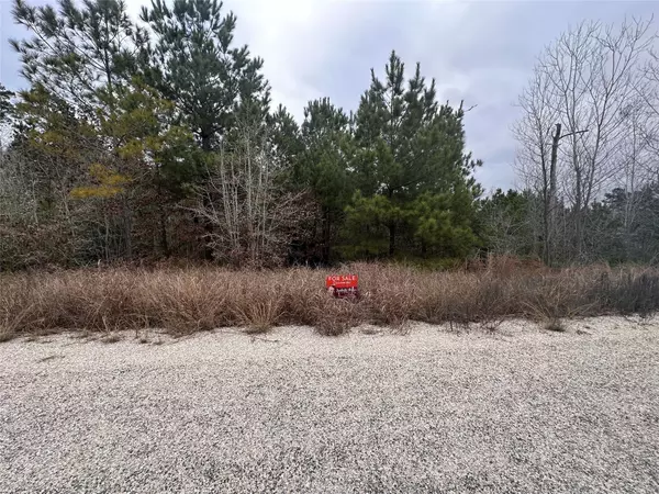 Bastrop, TX 78602,LOT 186 / R32327 Keo Kea CT