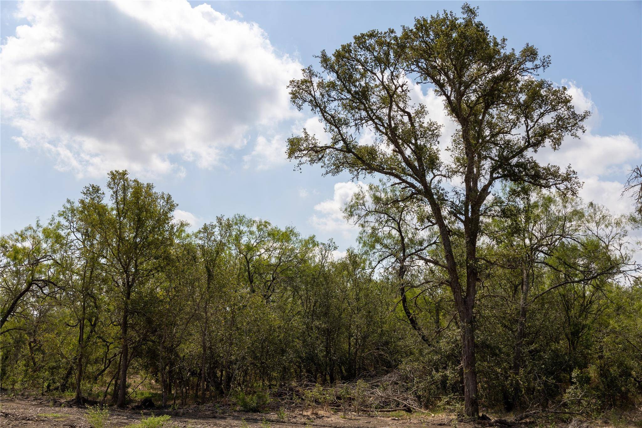 199 Brinley Mae WAY, Lockhart, TX 78644
