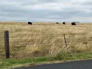 Georgetown, TX 78626,TBD County Rd 145