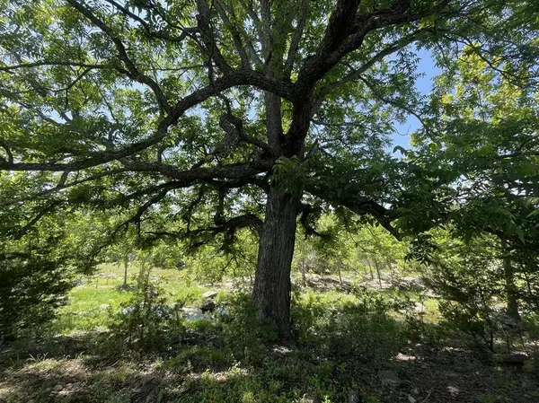 Burnet, TX 78611,TBD CR 110