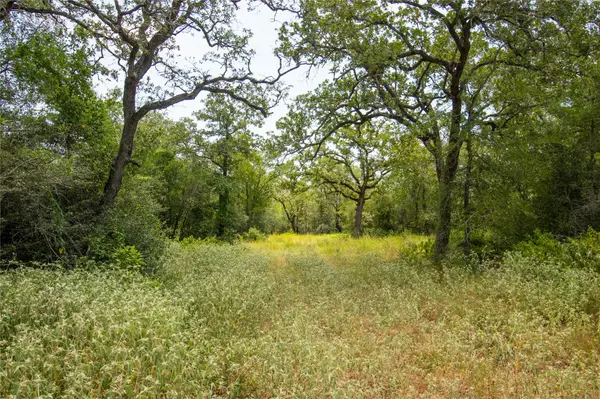 Seguin, TX 78155,2252 Bluestem Crest LN