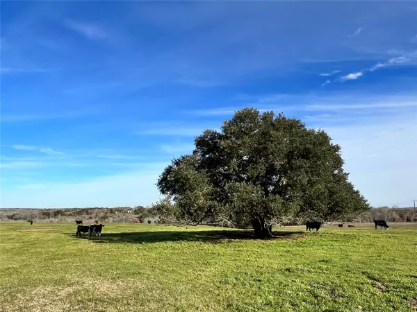 Brenham, TX 77833,TBD Oil Field Road