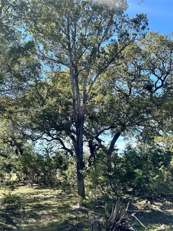 Lampasas, TX 76550,Lot 11 Shin Oak DR