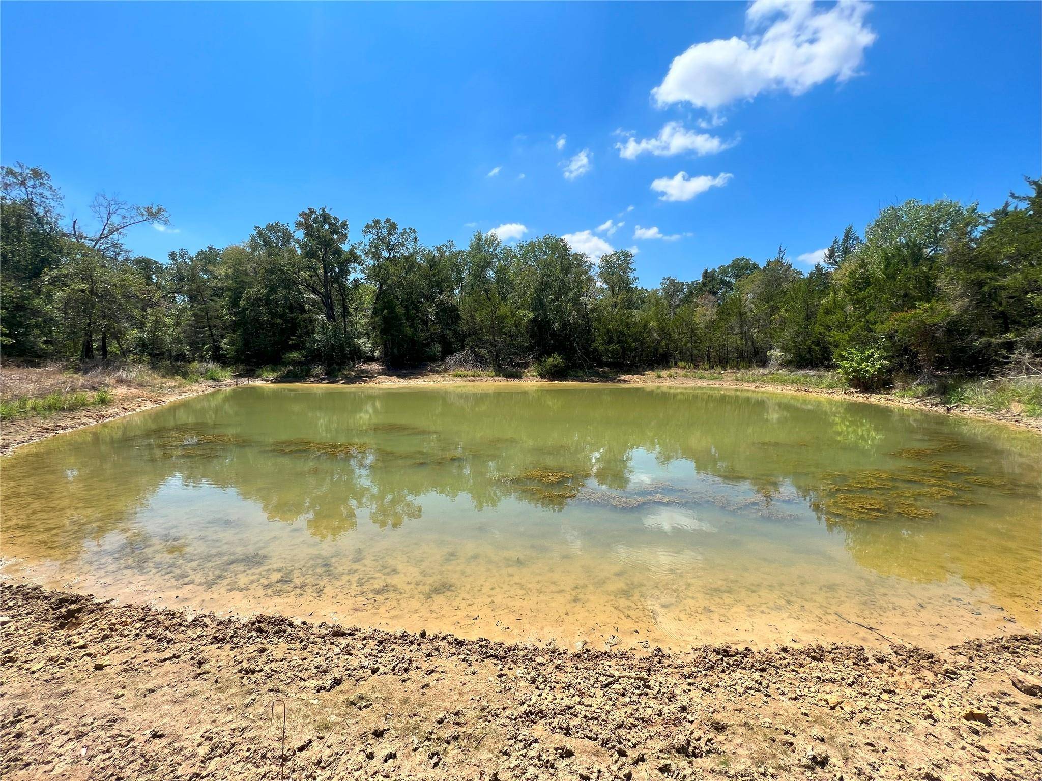 TBD Lot 21 Hwy 6 HWY, Calvert, TX 77859