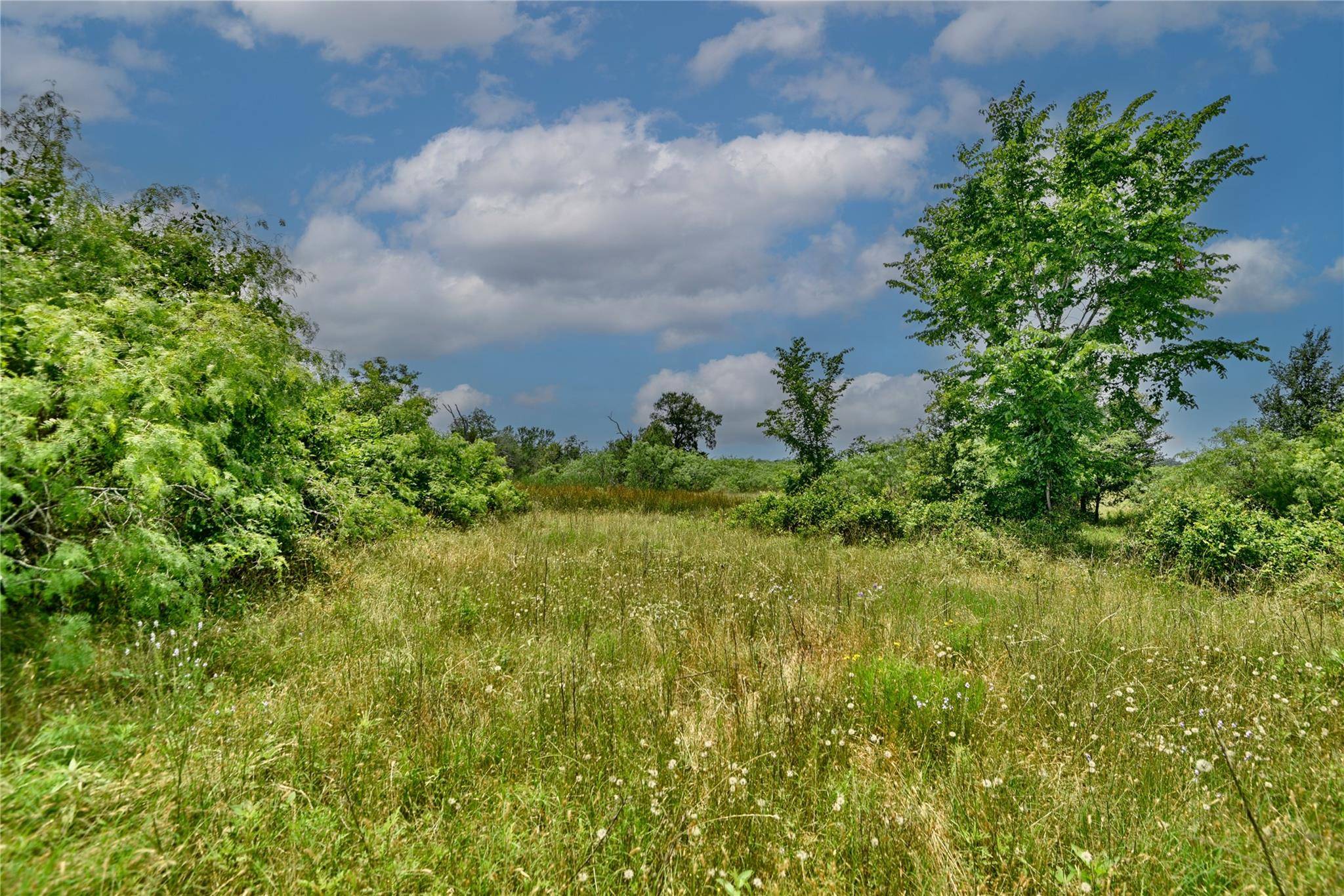 Flatonia, TX 78941,000 FM 1115