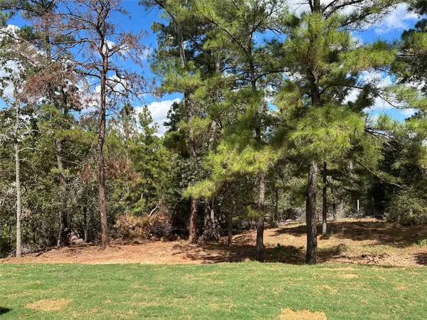 Bastrop, TX 78602,118 Kaelepulu DR