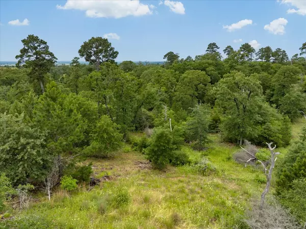 Bastrop, TX 78602,000 McAllister RD