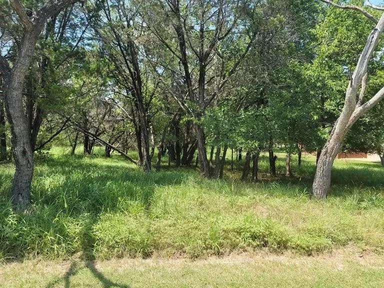 Whitney, TX 76692,35059 Oak Forest DR