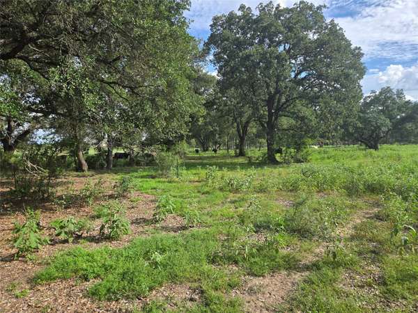 0 SH 304 SHR, Bastrop, TX 78602