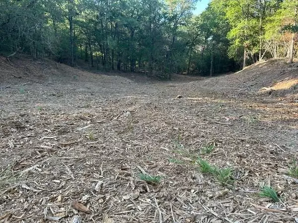 Bastrop, TX 78602,160 Wailupe CIR