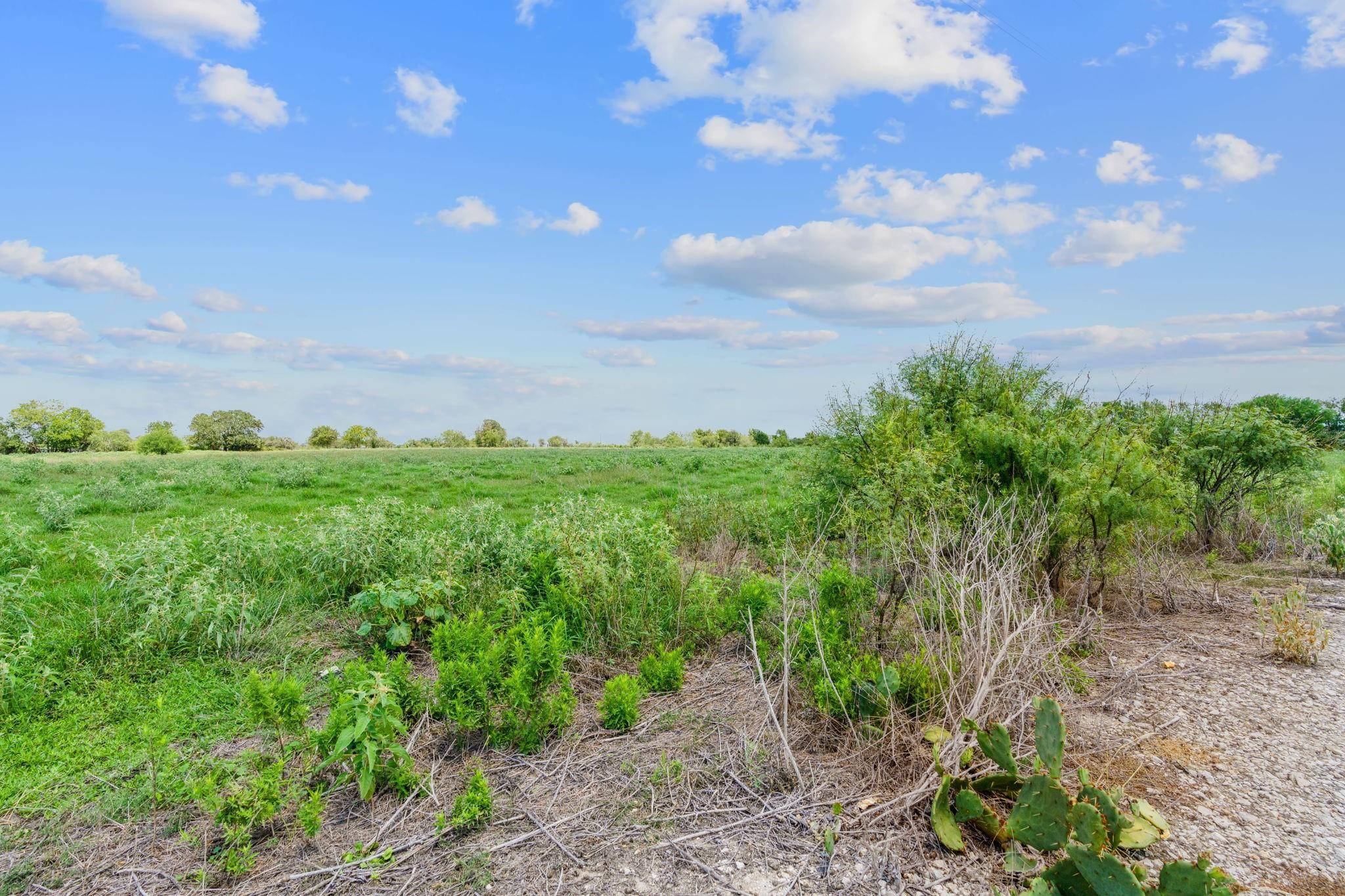 Flatonia, TX 78632,Lot 8 County Road 402