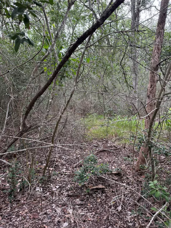 Bastrop, TX 78602,Lot 1035 Kawanui DR