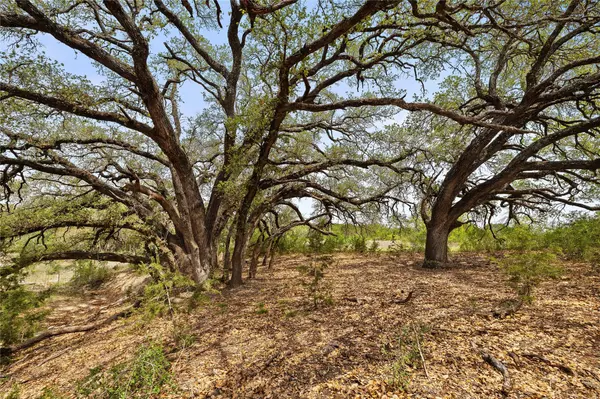 Burnet, TX 78611,TBD County Road 207