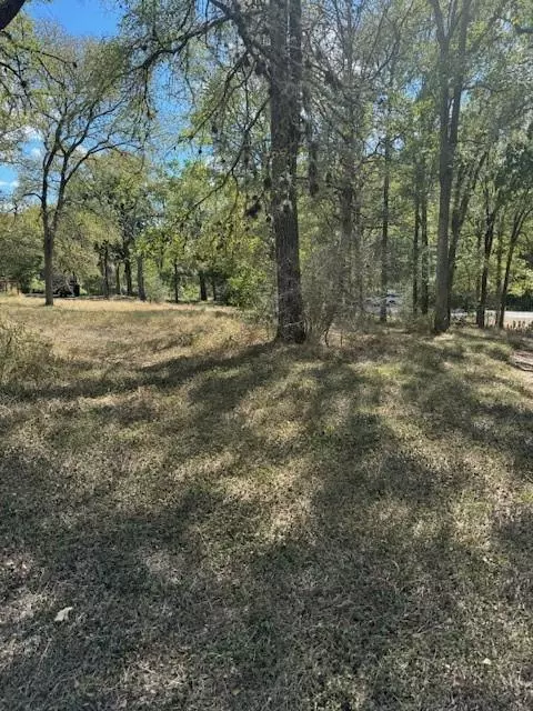 Bastrop, TX 78602,Lot 1564 Tahitian DR