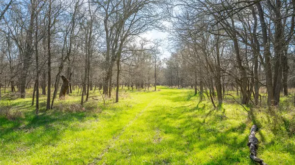 Cameron, TX 76520,0000-B CR 219