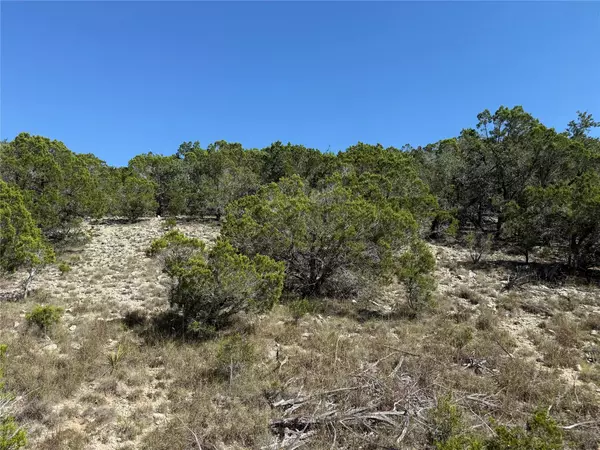 Dripping Springs, TX 78620,917 Roy Creek TRL