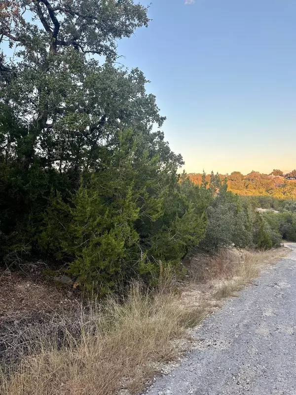 Lago Vista, TX 78645,21106 Needles CV