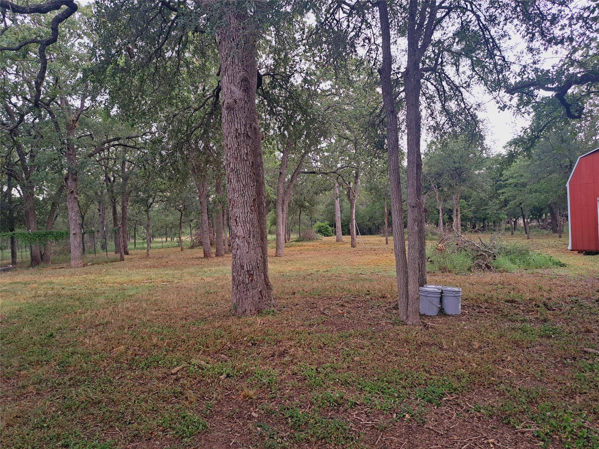 Cedar Creek, TX 78612,168 Maegan LN