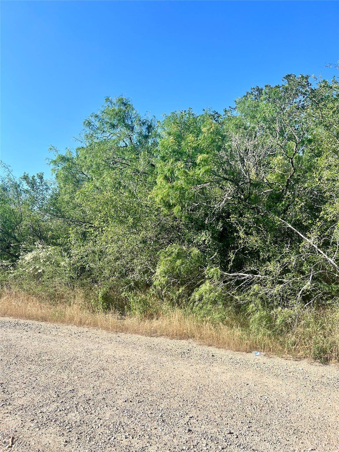 Bastrop, TX 78602,183 Helemano DR
