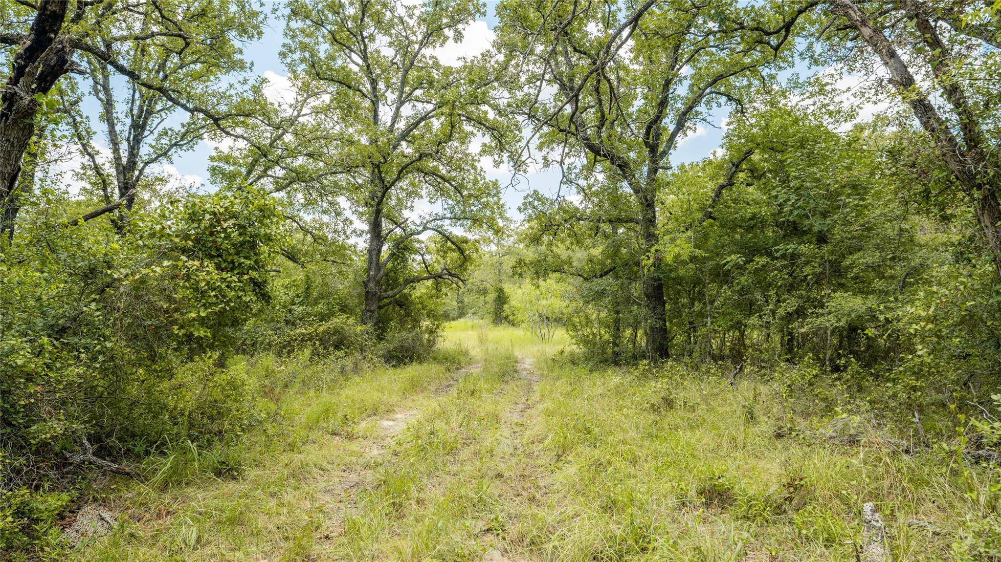 418-D County Road 405, Buckholts, TX 76518