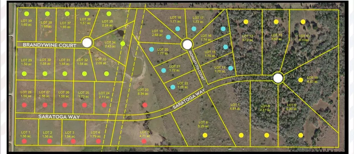 Elgin, TX 78621,1020 Brandywine CT N