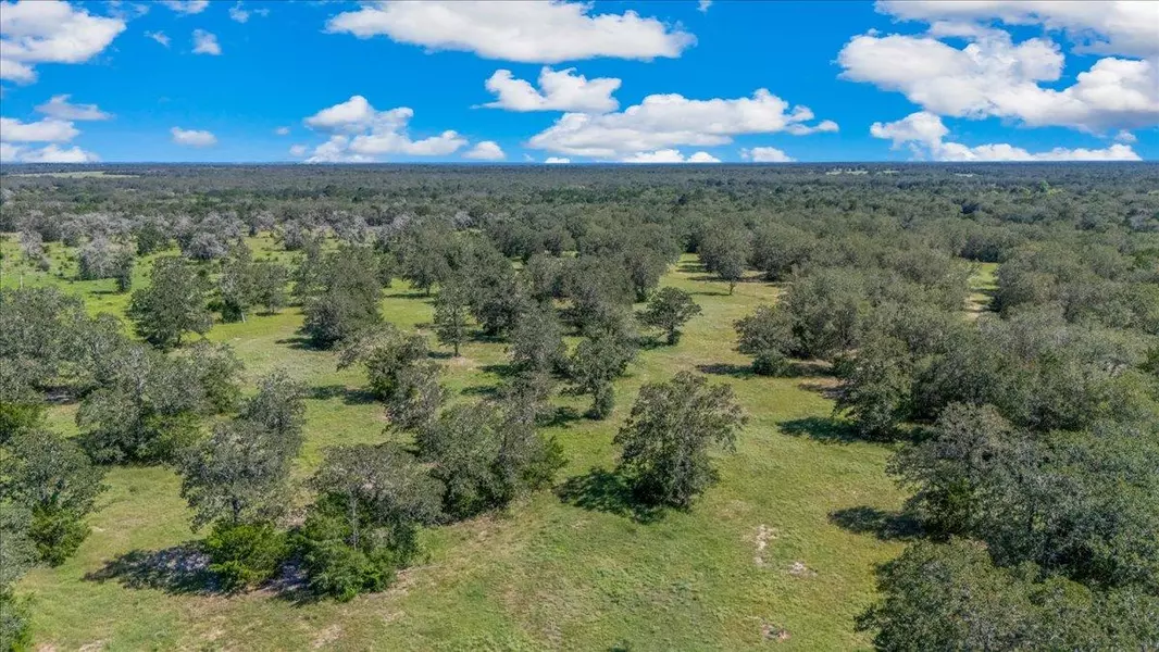 0000 Vista Ranch RD, Smithville, TX 78957