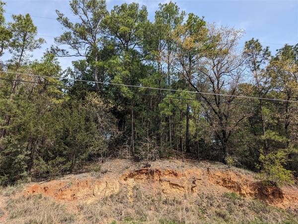 Lot1339 Lamaloa LN, Bastrop, TX 78602